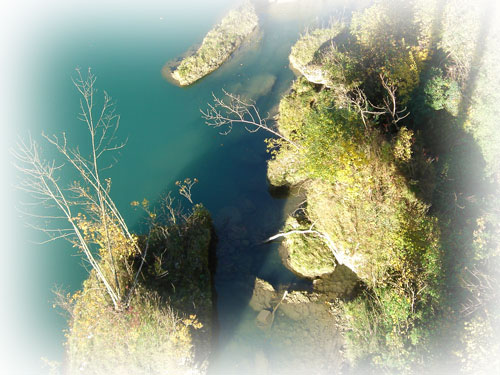 placehold